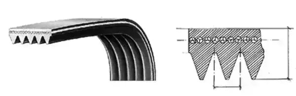 Cinghia poly-V 1951 116LG113 SKF